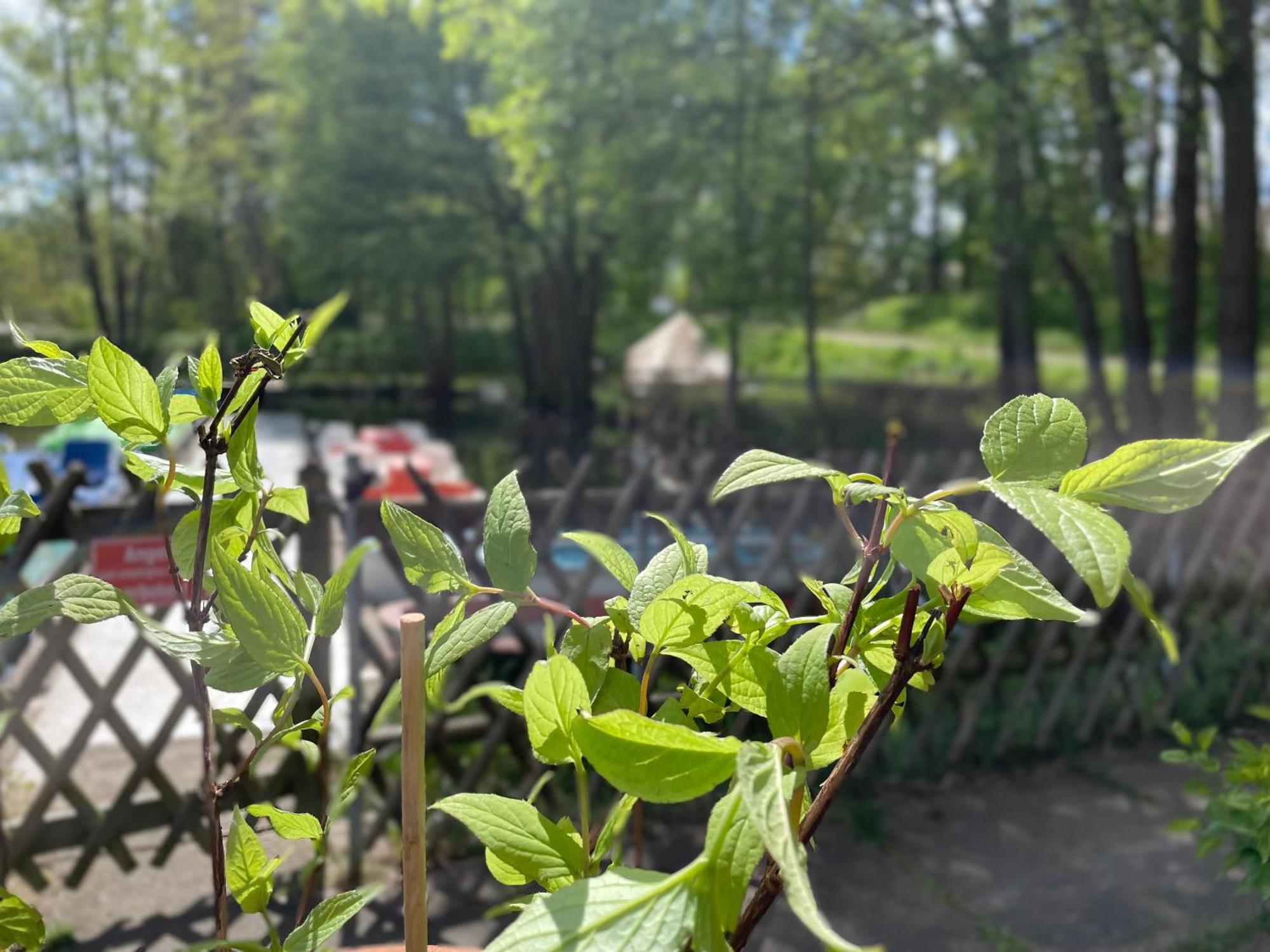 Luxuszelt Glamping Zelt *